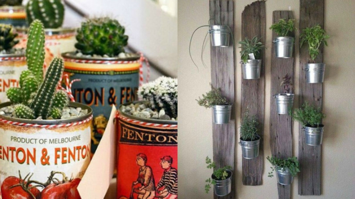 Decorate-with-Indoor-Plants