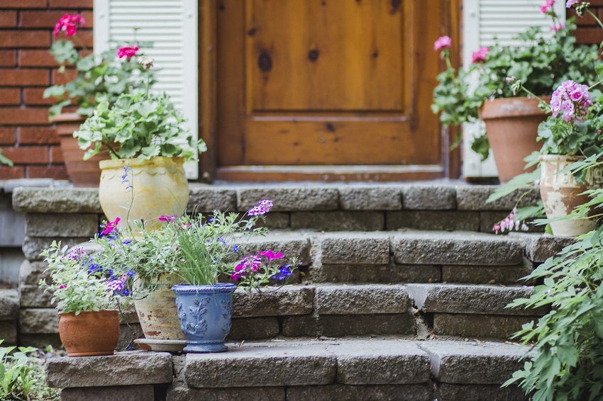 What Plants Are Best for the Front of the House
