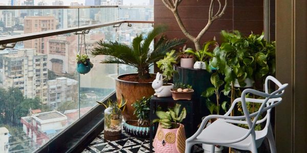 You can start a balcony garden