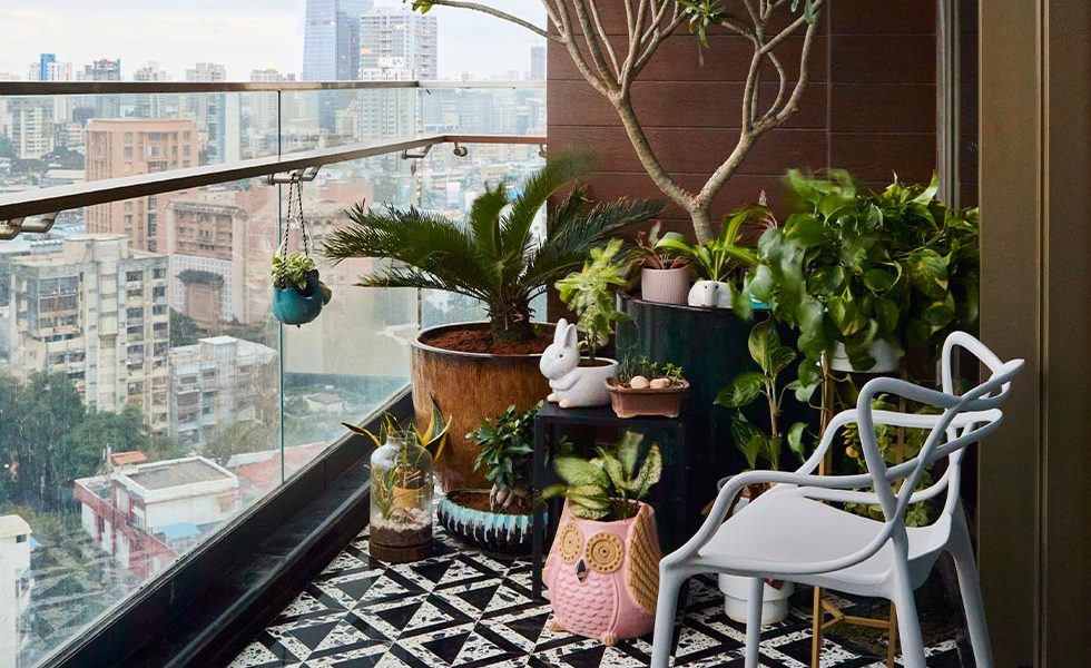 You can start a balcony garden