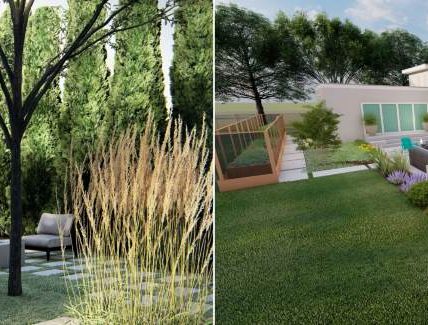 Modern vs. Traditional Landscaping