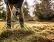 Homeowner raking matted grass on lawn after winter to remove debris and promote spring recovery
