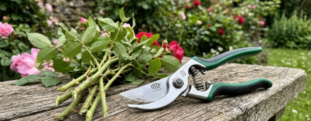 Close-up of rust resistant pruning shears with stainless steel blades resting on a wooden garden bench beside trimmed rose stems