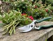 Close-up of rust resistant pruning shears with stainless steel blades resting on a wooden garden bench beside trimmed rose stems
