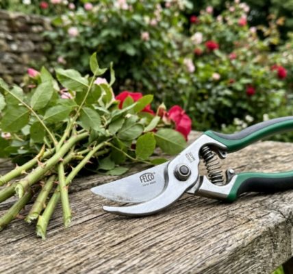 Close-up of rust resistant pruning shears with stainless steel blades resting on a wooden garden bench beside trimmed rose stems
