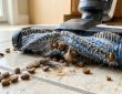 Modern wet dry mop cleaning muddy paw prints off hardwood floor.